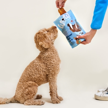 Hunde Leckerlis