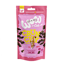 Crunchy Snack mit Lachs
