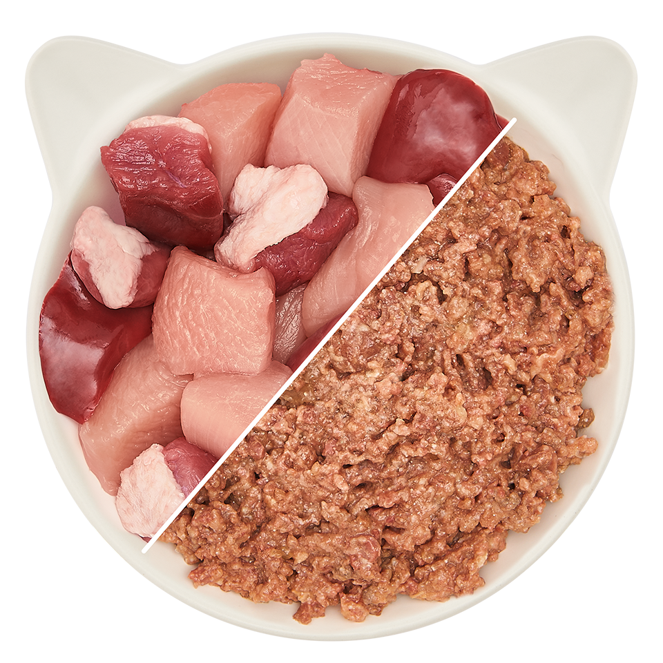 Senior Paté Geflügel & Ente