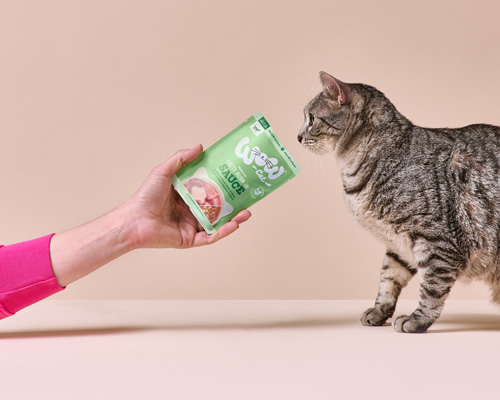 Einer Katze wird eine offene Packung mit WOW CAT zum riechen hingehalten