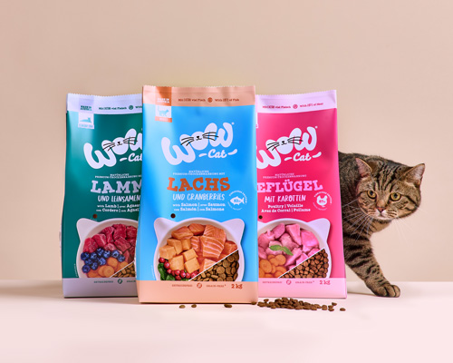 Eine Kaze die hinter 3 Verpackungen von WOW CAT Trockenfutter hervorläuft