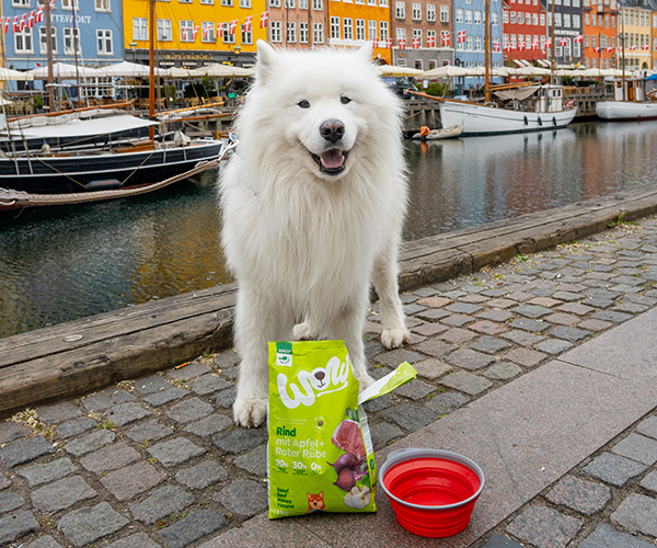 Hund steht neben einem Fluss mit einer Packung Trockenfutter von WOW DOG