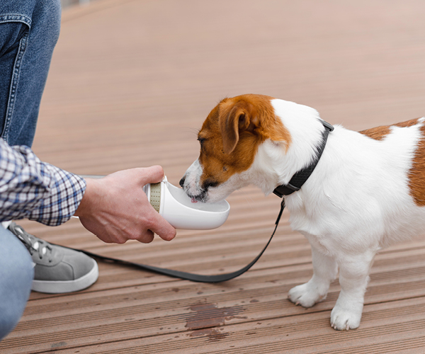 Ein Hund an der Leine trinkt aus einem mobilen Wassernapf