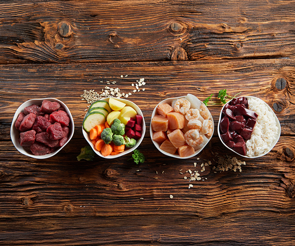 Mehrere Schüsseln vol mit proteinreicher Nahrung