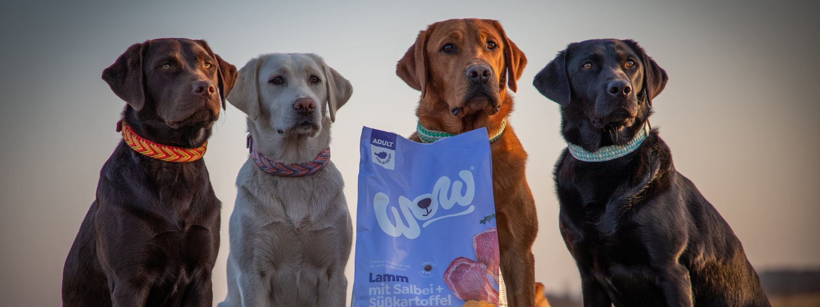 4 Hunde vor einer Packung Trockenfutter