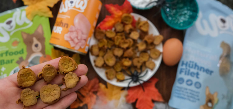 Hand mit Kroketten und Hundefutter im Hintergrund