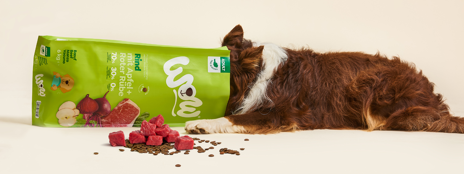 Hund steckt Kopf in Trockenfuttesack
