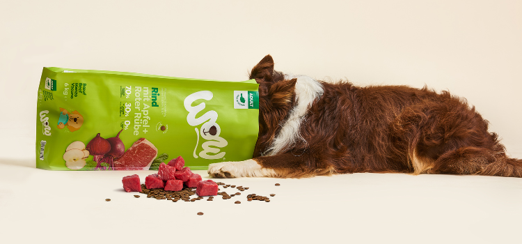 Hund steckt Kopf in Trockenfuttesack