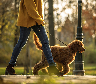 Frau geht mit Hund spazieren