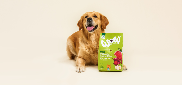 Hund liegt mit Trockenfuttersack
