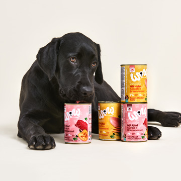Welpen Hundefutter