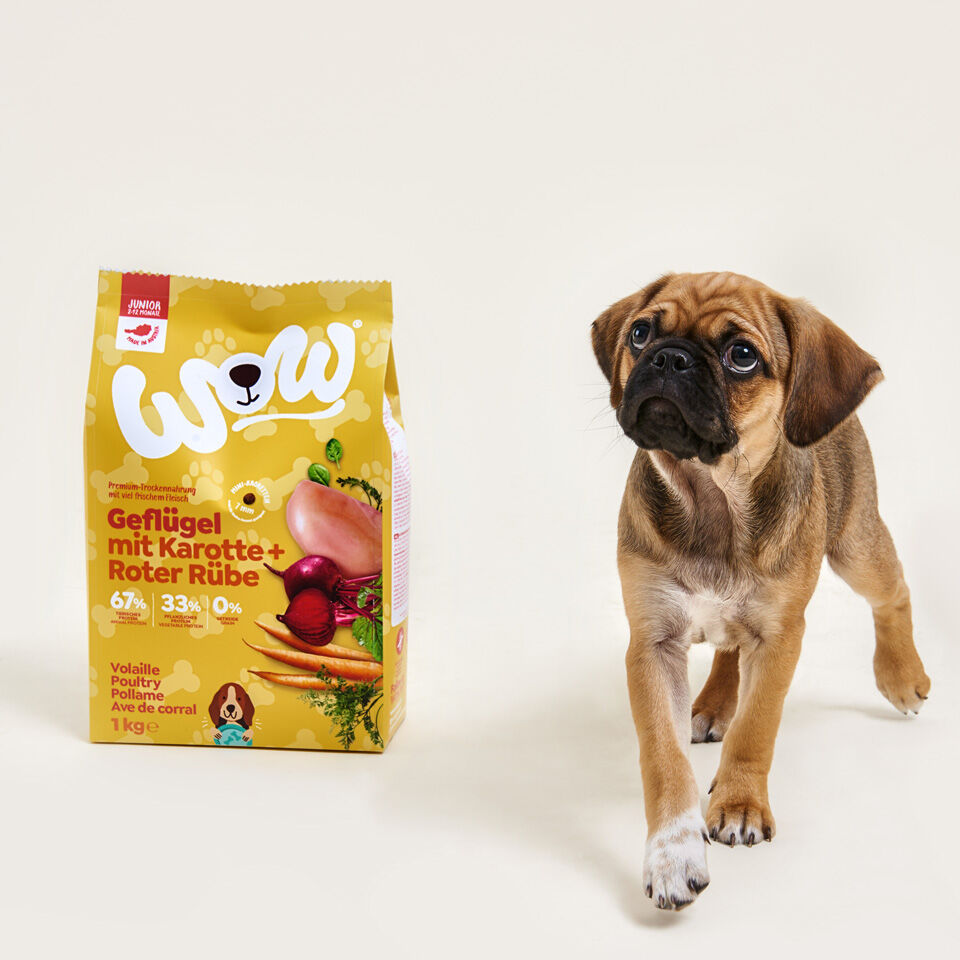 Puppy poultry 