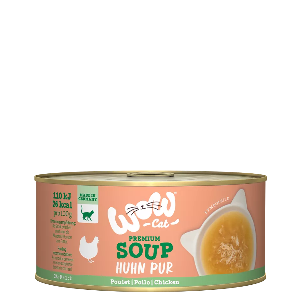 Soup with chicken