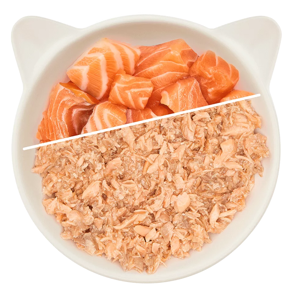 Pure salmon fillet