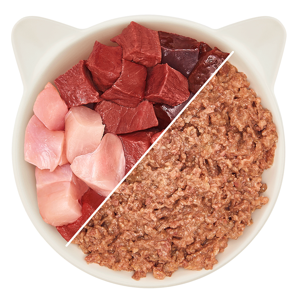 Adult Paté beef & turkey
