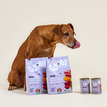 Senior Hundefutter