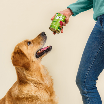 Adult Hundefutter