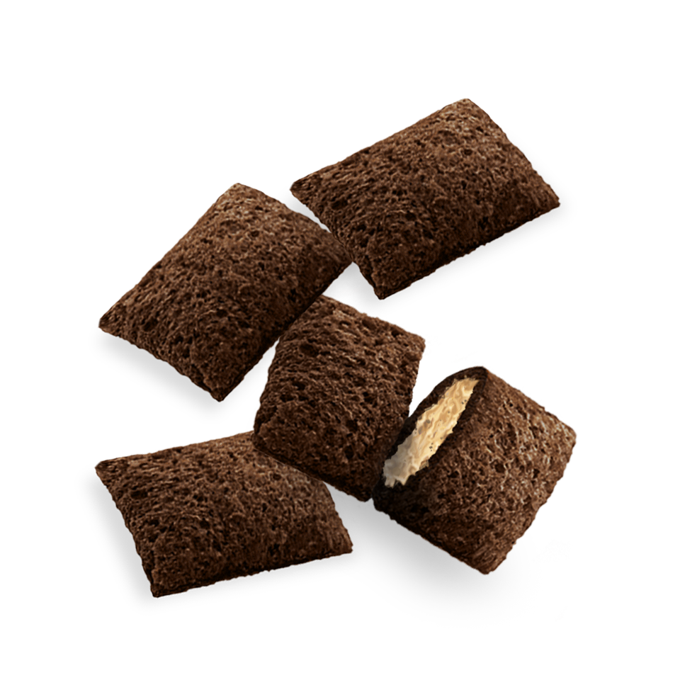 Crunchy Snack con salmón