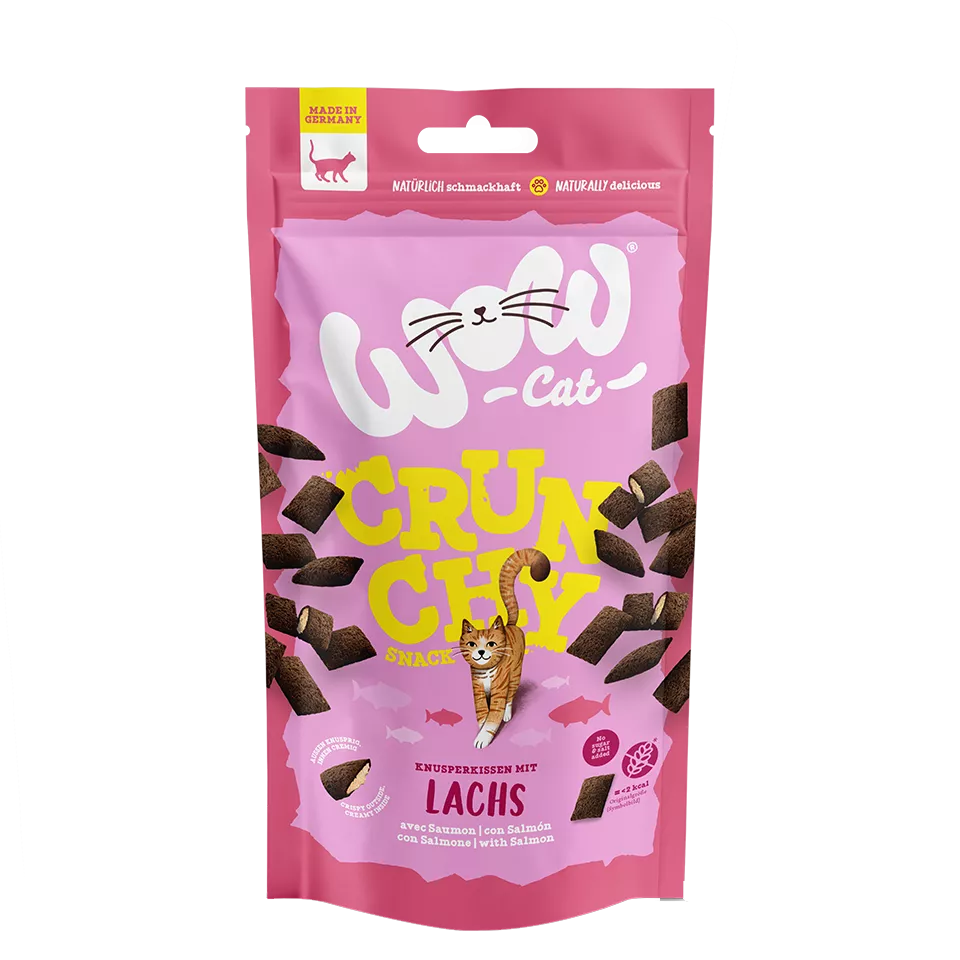 Crunchy Snack con salmón