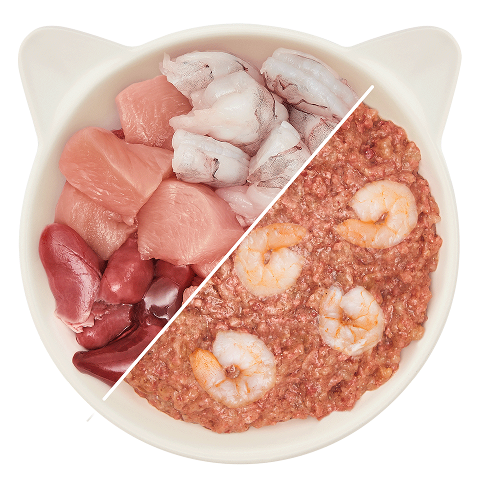 Adult pollo y gambas