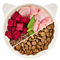 Poulet adulte