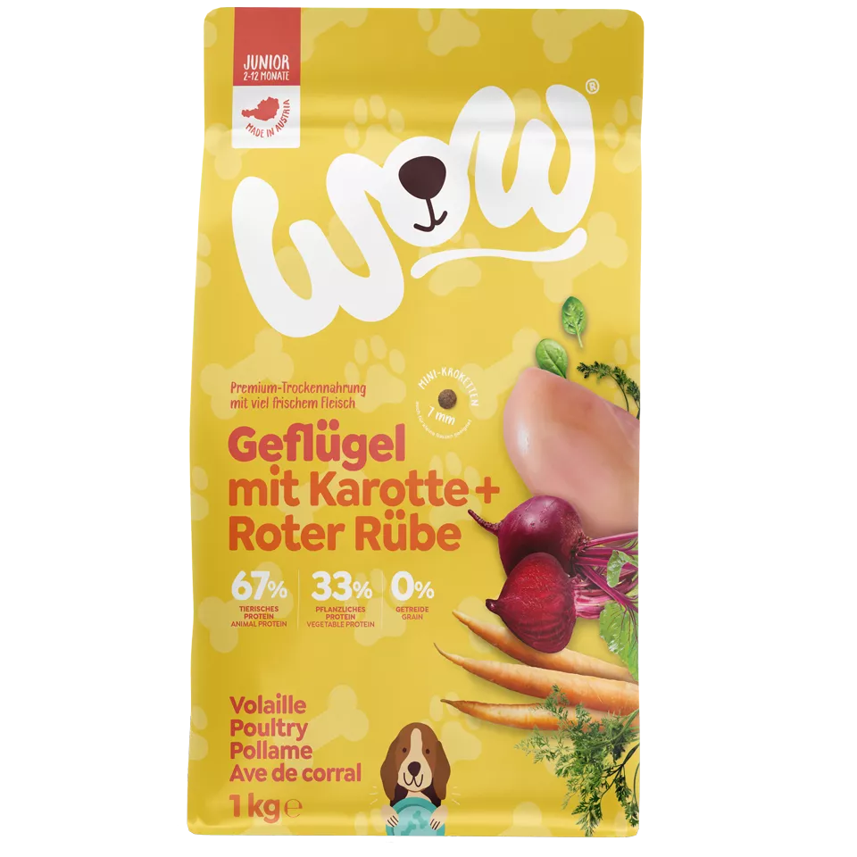 Chiots Volaille