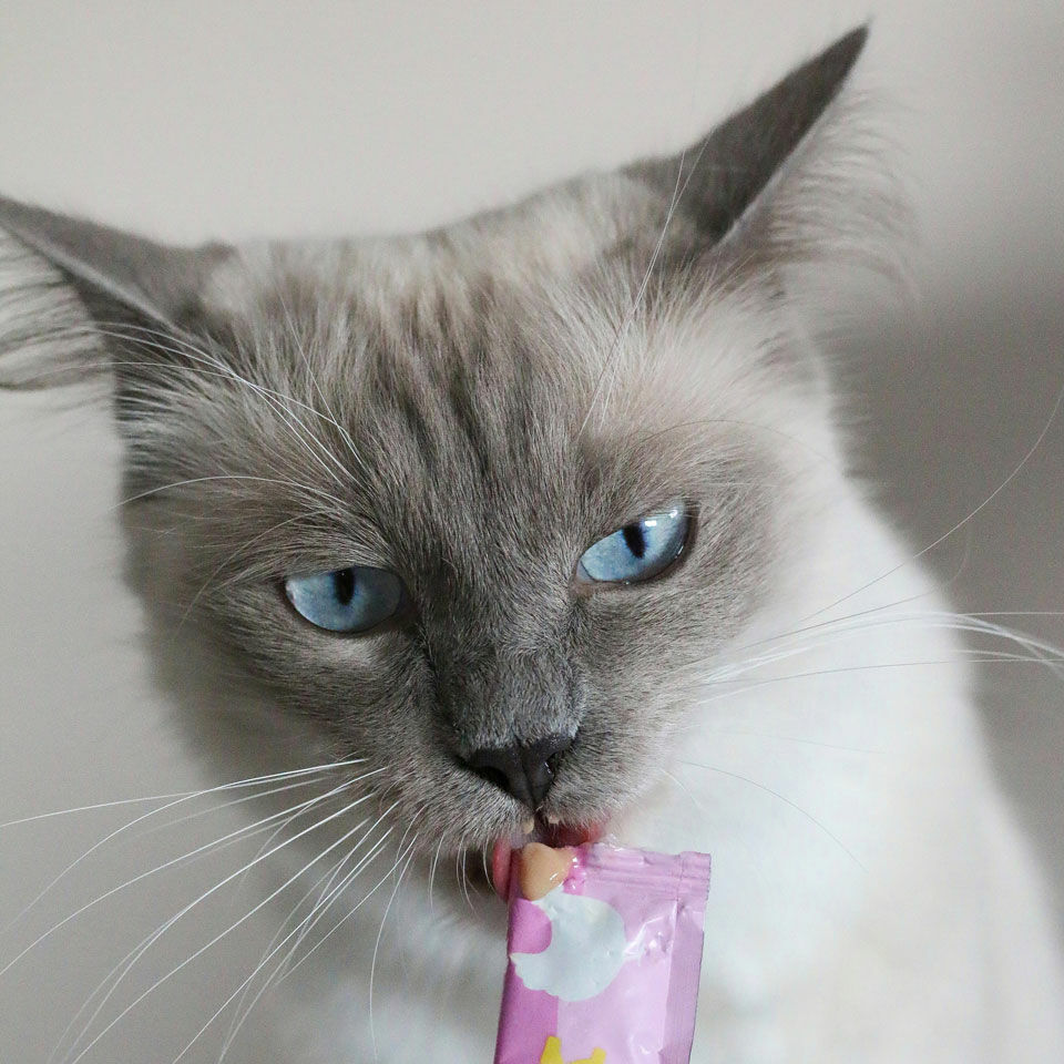 Creamy Snack Multipack