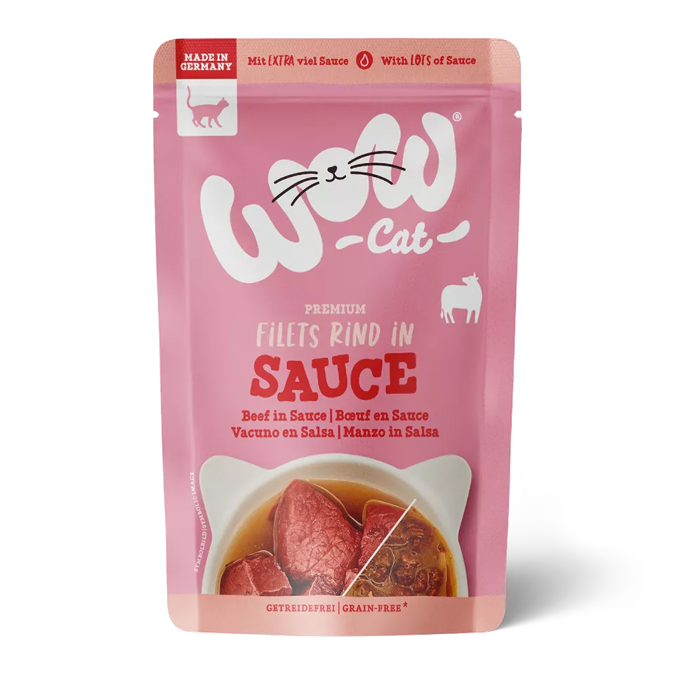 Bœuf en sauce 