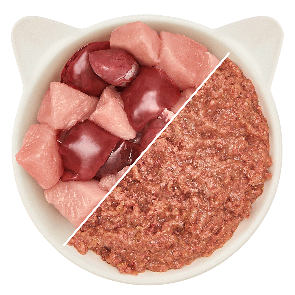 Junior Volaille et foie
