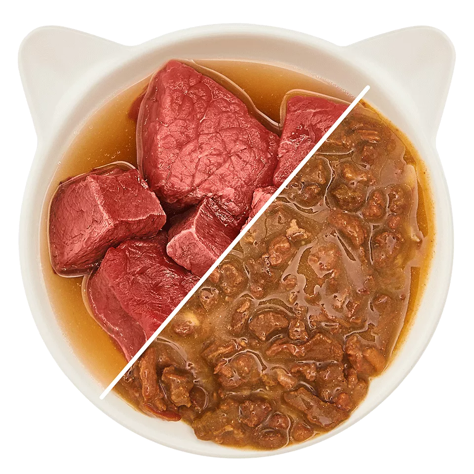 Bœuf en sauce 